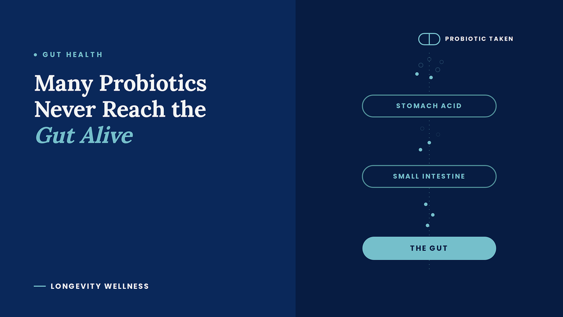 Many Probiotics Never Reach the Gut Alive