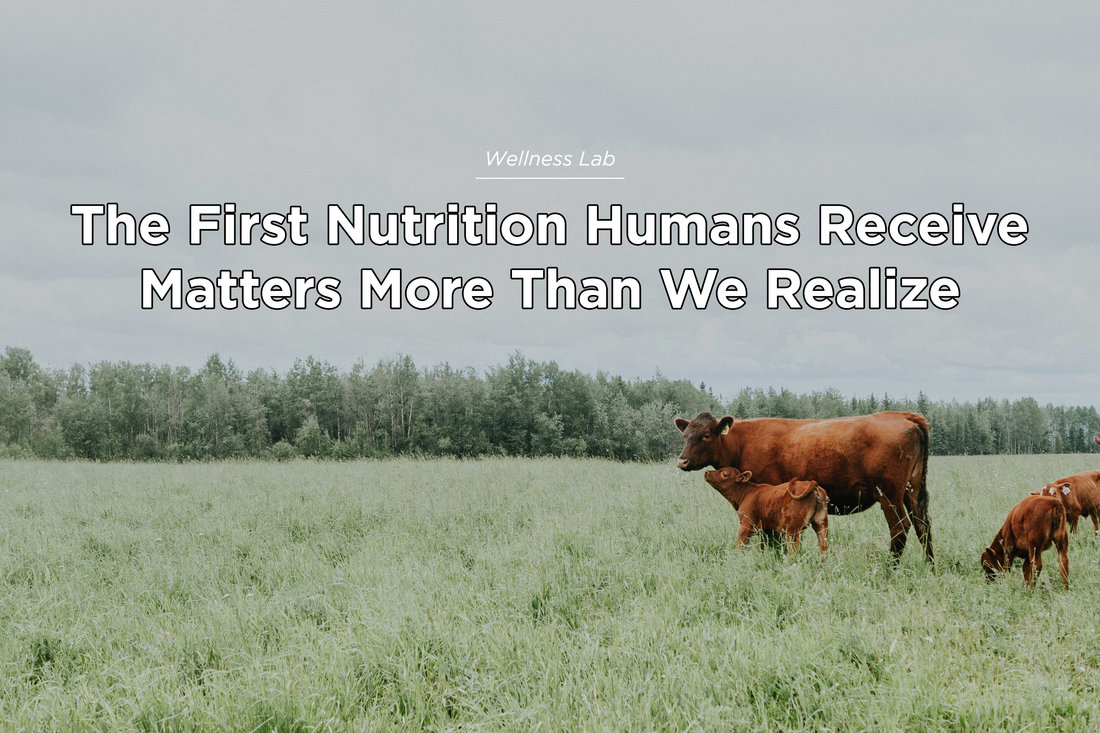 The First Nutrition Humans Receive Matters More Than We Realize