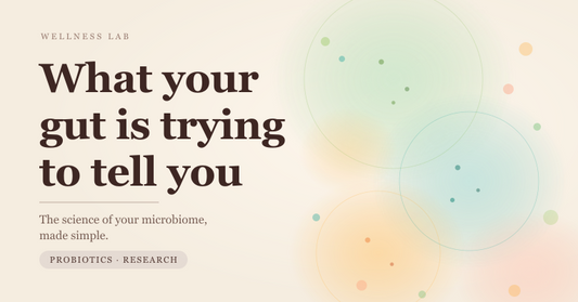 The Gut–Health Connection That Most People Don't Understand