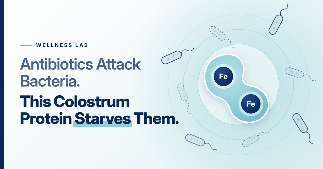 1.3 Million Deaths a Year: Why Researchers Are Studying a Protein in Colostrum