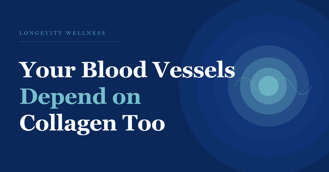 Your Blood Vessels Depend on Collagen Too