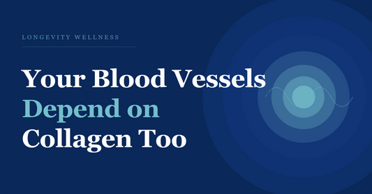 Your Blood Vessels Depend on Collagen Too