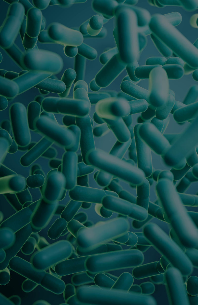 Daily digestive support